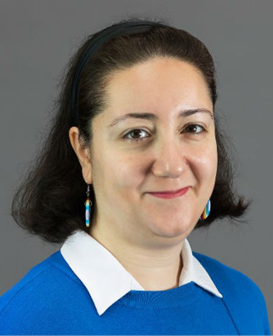 Dima Damen